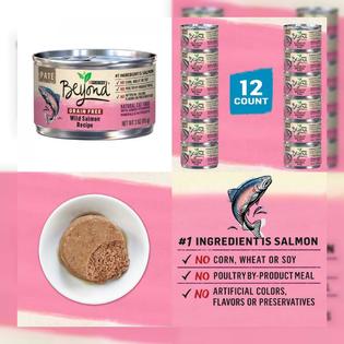 Purina Beyond Grain Free Natural Adult Canned Wet Cat Food 12 3 Oz