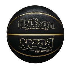 Wilson Basketball Sears