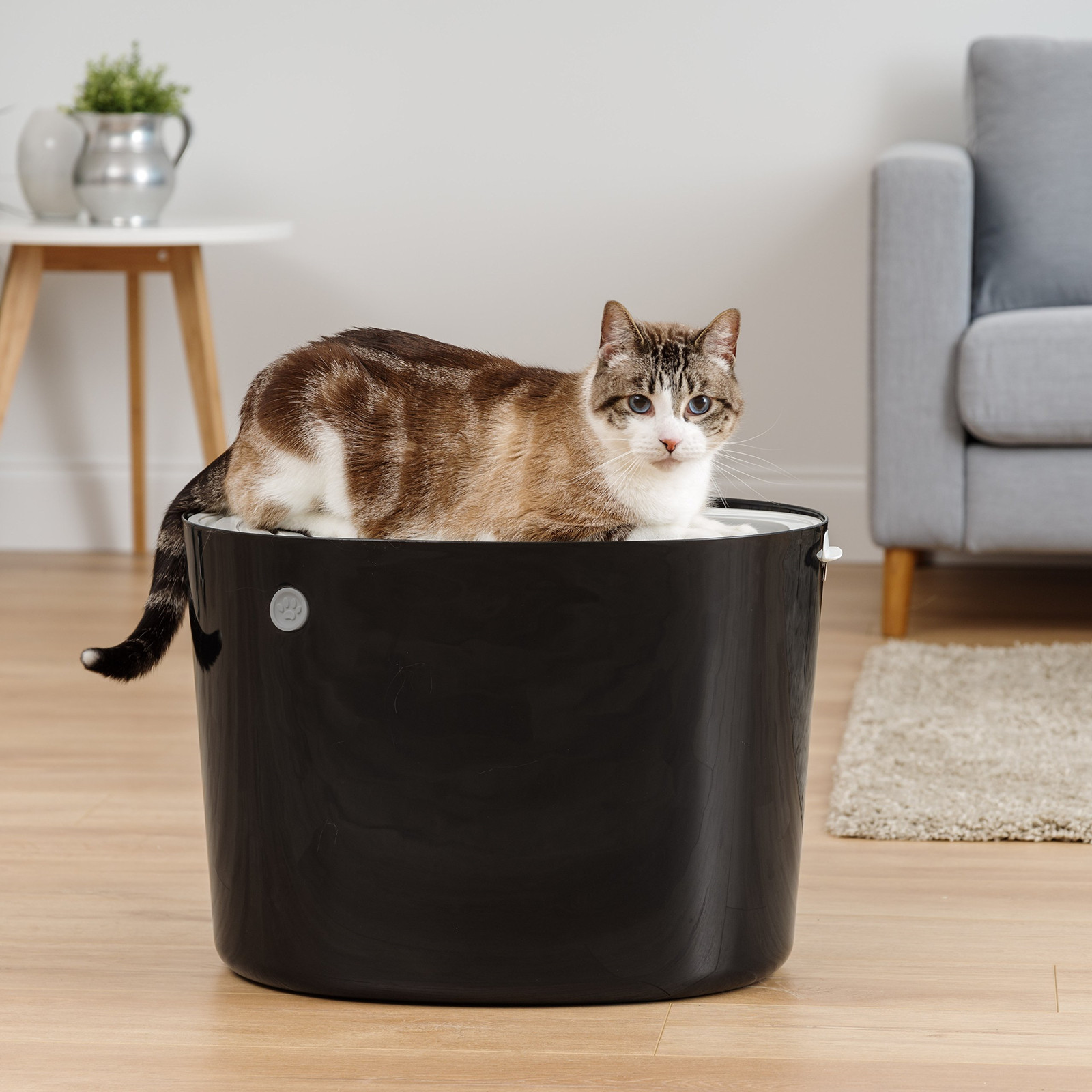 Iris Top Entry Cat Litter Box With Cat Litter Scoop Black Gray