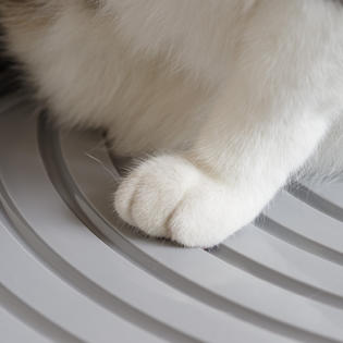 Iris Top Entry Cat Litter Box With Cat Litter Scoop Black Gray