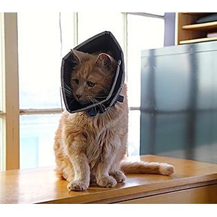 The Comfy Cone Pet Recovery Collar By All Four Paws Medium Tan