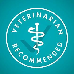 Purina One Natural High Protein Wet Cat Food True Instinct Salmon Trout Reci