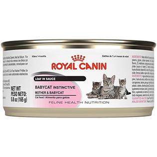 Royal Canin Mother Babycat Ultra Soft Mousse In Sauce Wet Cat Food For New Kit