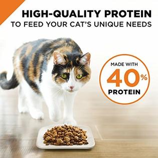 Purina Pro Plan High Protein With Probiotics Dry Cat Food Savor