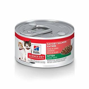 Hill S Science Diet Wet Cat Food Kitten Savory Salmon Recipe