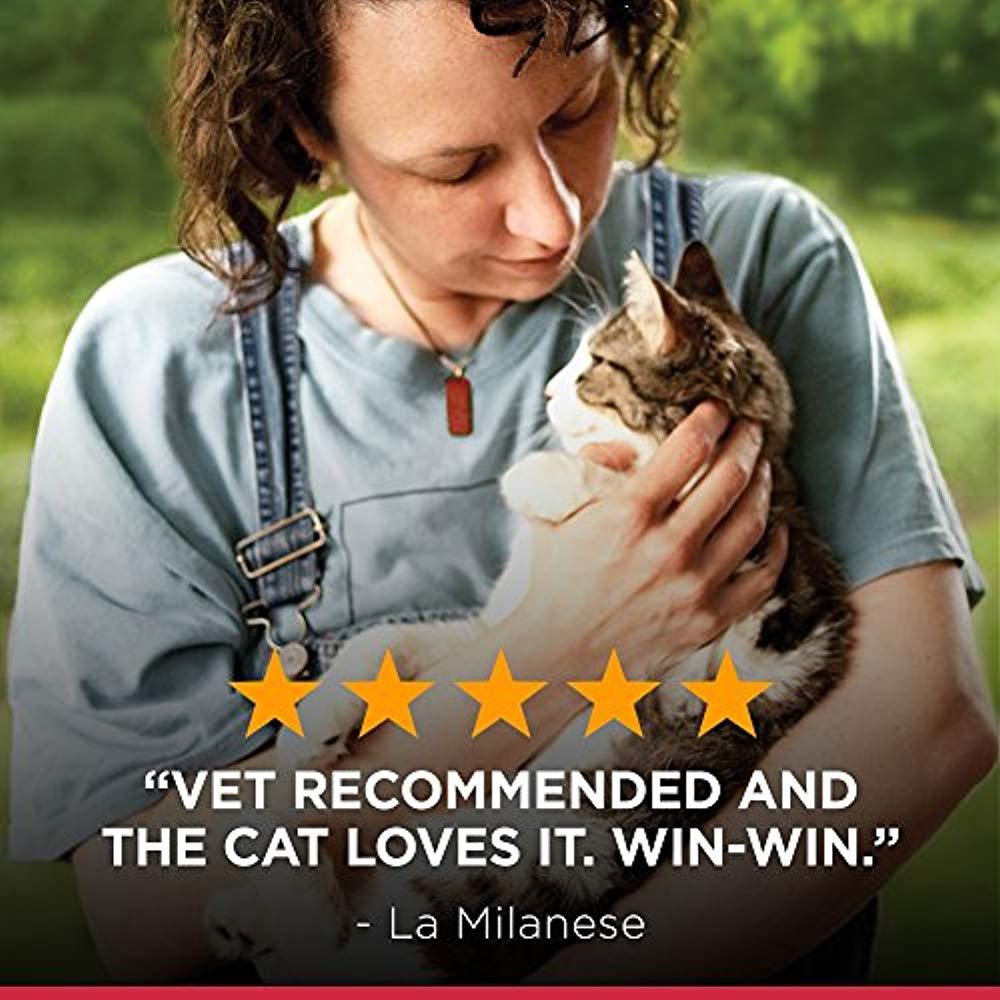 Hills Science Diet Hill S Science Diet Adult Light Cat Food Chicken Recipe For Weight Management