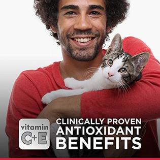 Hills Science Diet Hill S Science Diet Adult Light Cat Food Chicken Recipe For Weight Management