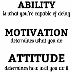 Craftelife Vinyl Wall Quotes Decal Stickers Ability Attitude Motivation