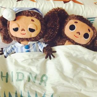 Download Nooer Hot Russian Cheburashka Plush Toy Stuffed Animals Cute Doll For Android Free Get Wallpaper Nooer Hot Russian Cheburashka Plush Toy Stuffed Animals Cute Doll Desktop Wallpaper Free