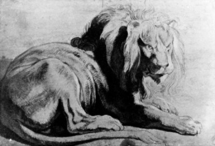 Posterazzi Resting Lion Animal Painting Wall Art Decor Canvas