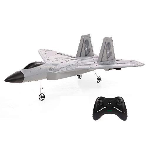 goolsky fx822 f-22 raptor model fighter airplane 2ch epp 2.4g remote control airplane fixed-wing rtf toy