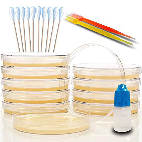 ES EVVIVA SCIENCES Evviva Sciences Microbiology Science Project Kit, Pre-Poured Agar Plates for Students, Agar Petri Dishes to Learn Microbiology,