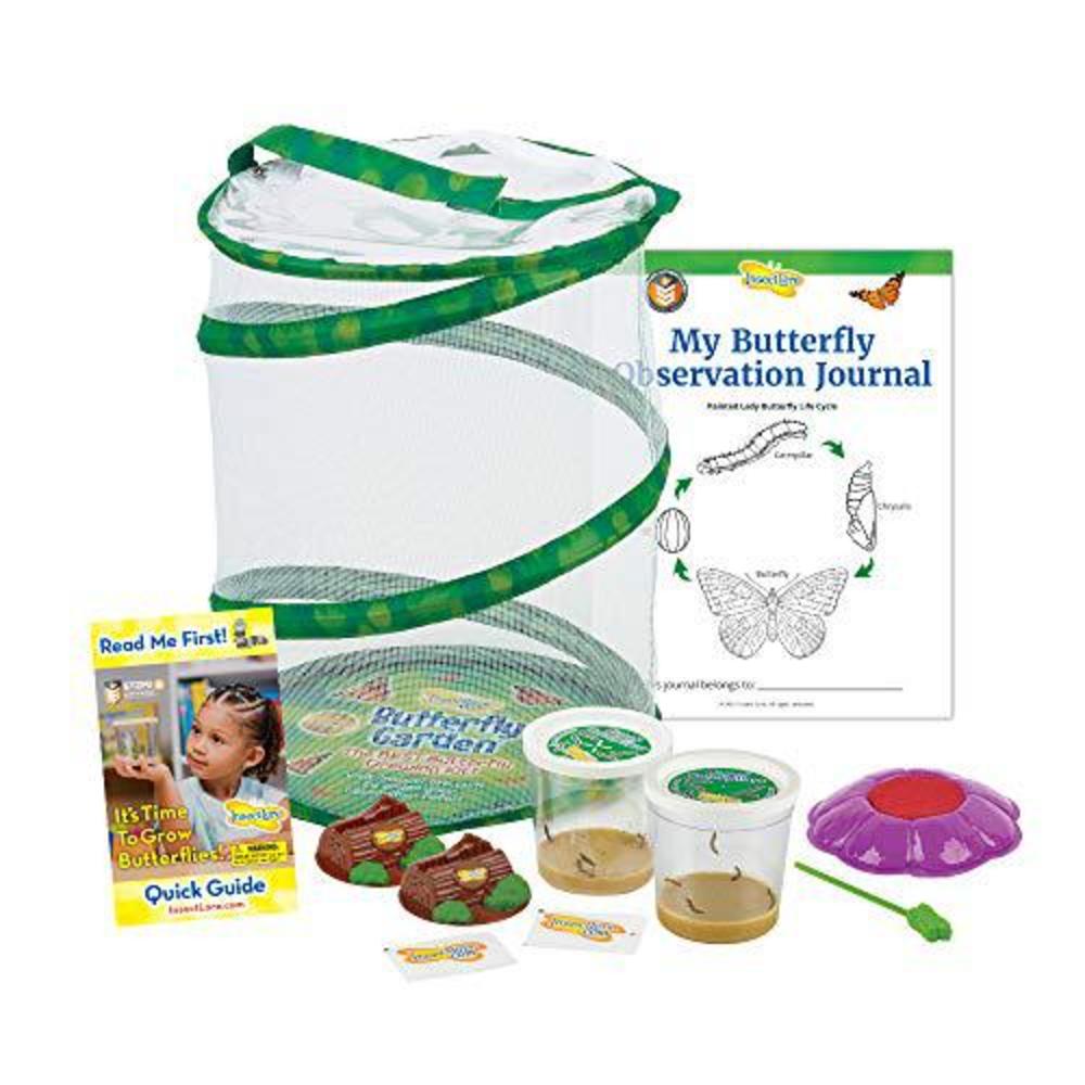 insect lore butterfly garden: original habitat and two live cups of caterpillars with stem butterfly journal - life science &