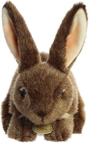 Aurora aurora - miyoni - 10