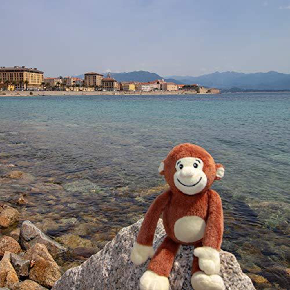 yonkey monkey popular 10-inch cute soft plush monkey, travel buddy, blogger, friend