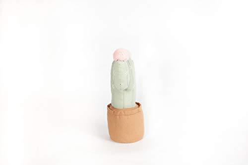 mon ami 3d soft plush cactus in flowerpot pillow, huggable cactus flowerpot shaped pillow, decorative accessory cushions for 