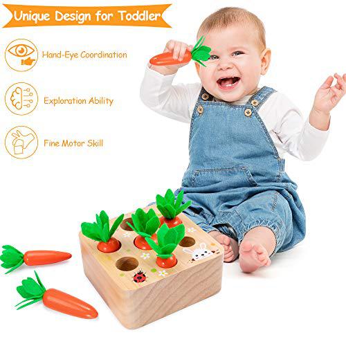aojoys montessori toys for toddlers 1-3 years old, developmental wooden toys carrot shape size sorting game, preschool learni
