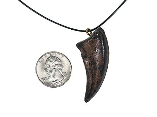 mid-land scientific gorgosaurus dinosaur claw pendant necklace (344-4)