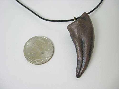 mid-land scientific gorgosaurus dinosaur claw pendant necklace (344-4)