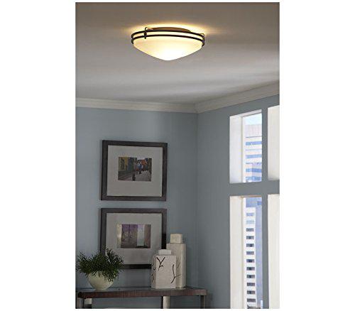 quoizel oz1613in ozark flush mount ceiling lighting, 2-light, 120 watts, iron gate (6" h x 13" w)