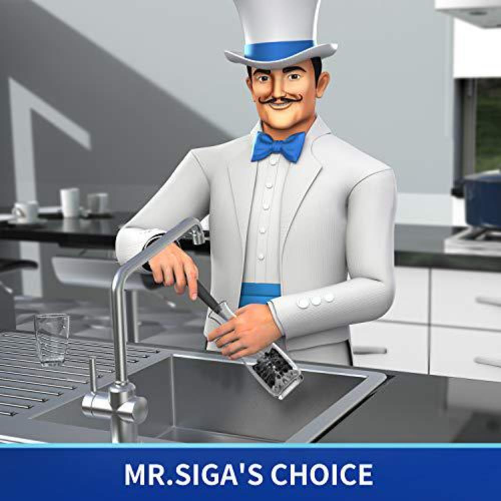 mr.siga long handle bottle brush, flexible scrub brush for water bottles, glasswares, mugs, black, 2 pack