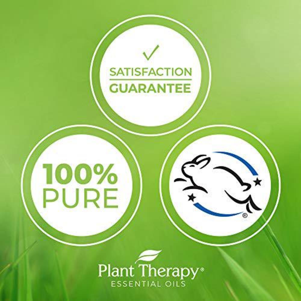 Plant Therapy Essential Oils plant therapy energy essential oil blend 10 ml (1/3 oz) refreshing, energizing blend 100% pure, pre-diluted roll-on, natural 