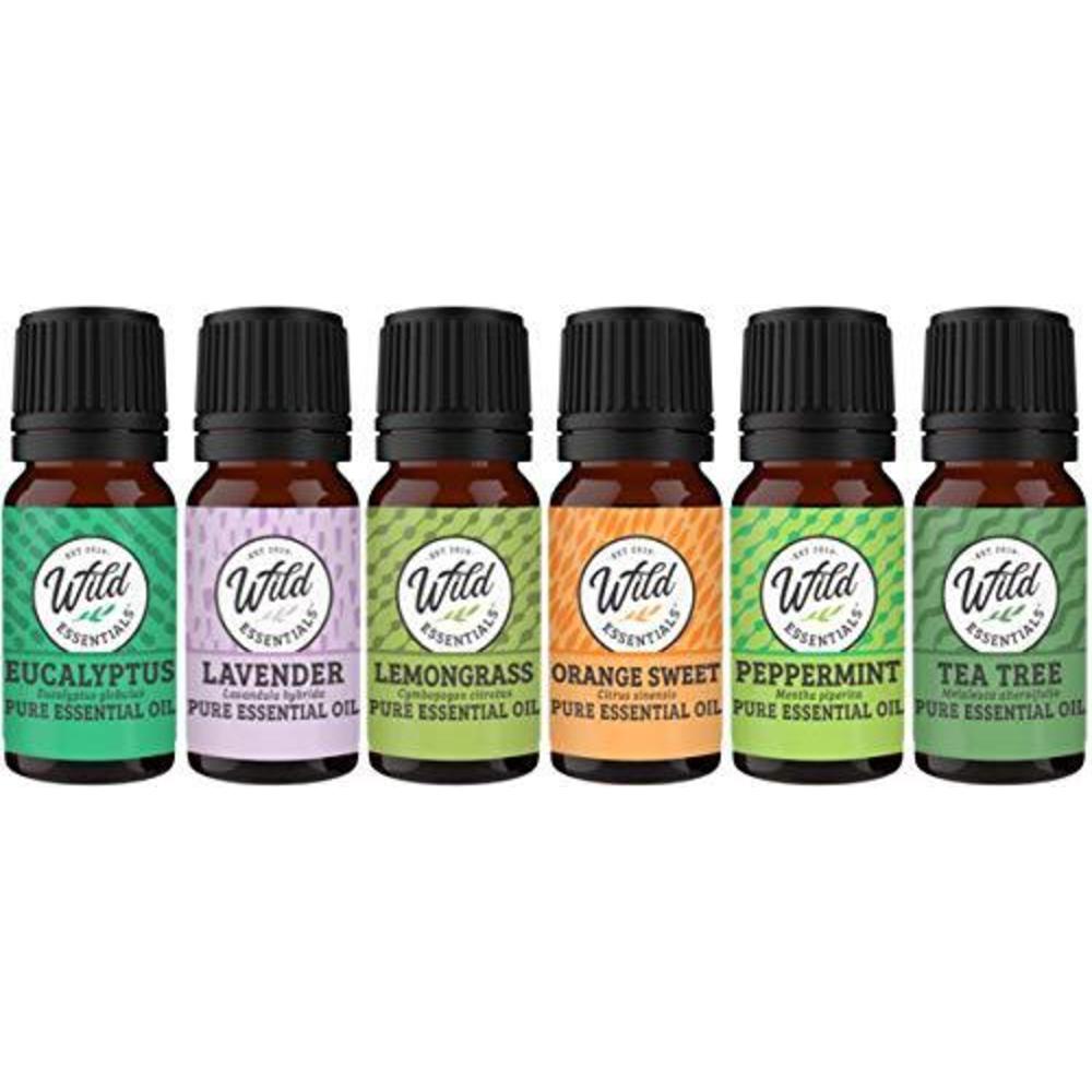 mEssentials wild essentials top 6 piece single note essential oil set -100% pure therapeutic grade aromatherapy kit with lavender, eucaly