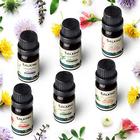 Salking floral essential oil set, pure and natural essential oils