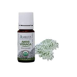 amrita aromatherapy organic ammi visnaga essential oil, pure, naturally the puriest undiluted, premium quality aromathearpy o