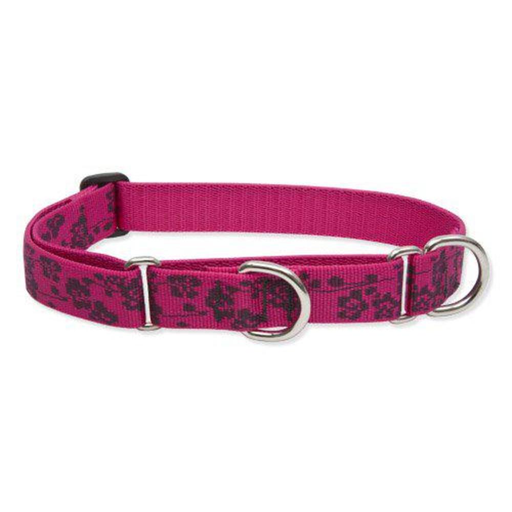 lupinepet originals 1" plum blossom 15-22" martingale collar for medium and larger dogs