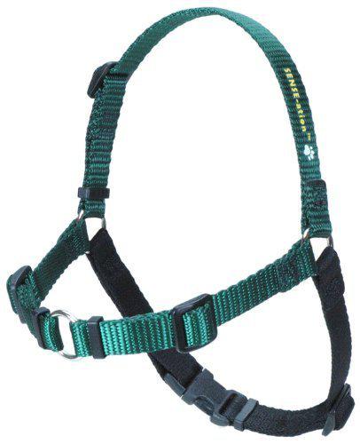 SENSE-ation Dog Harness sense-ation no-pull dog harness (green, small)