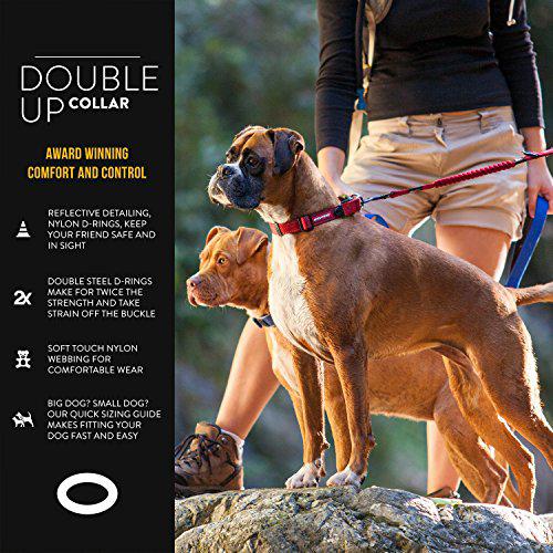 ezydog double up premium nylon dog collar with reflective stitching - double d-rings for superior strength, safety, and comfo