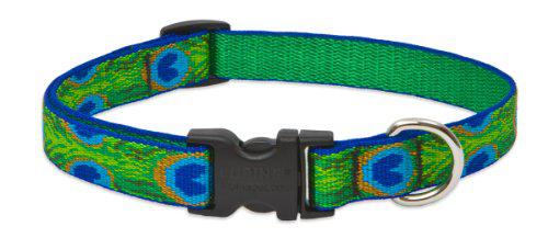 lupinepet originals 3/4" tail feathers 13-22" adjustable collar for medium and larger dogs
