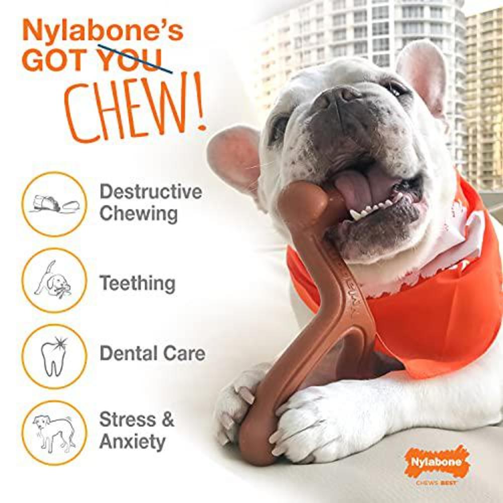 nylabone dura chew giant original flavored bone dog chew toy, large/giant - up to 50 lbs. (ng104p)
