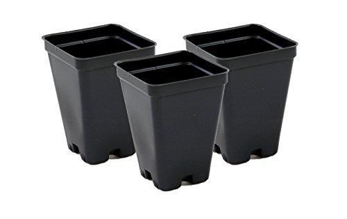 Growers Solution 2.5 inch square greenhouse pots - black - plastic - deep - case of 800 by growers solution
