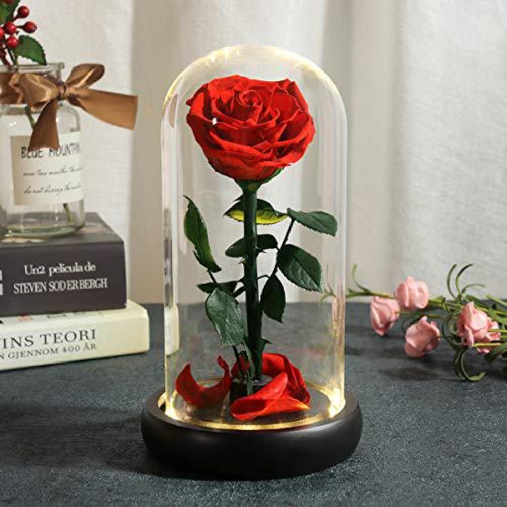 Dream of Flowers mothers day beauty and the beast rose for her, handmade preserved flower rose lasts forever with warm light, real rose gift f