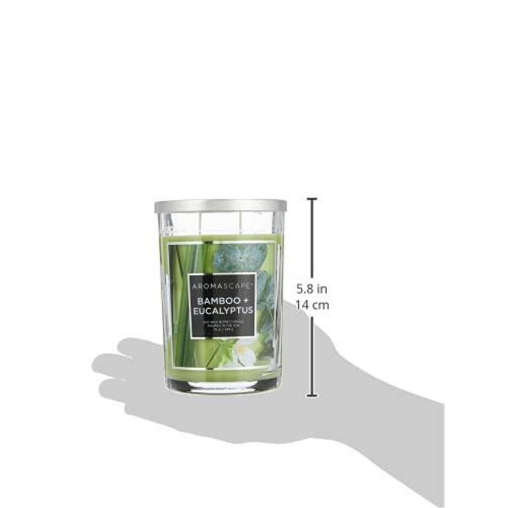 aromascape pt41900 2-wick scented jar candle, bamboo & eucalyptus, 19-ounce, green