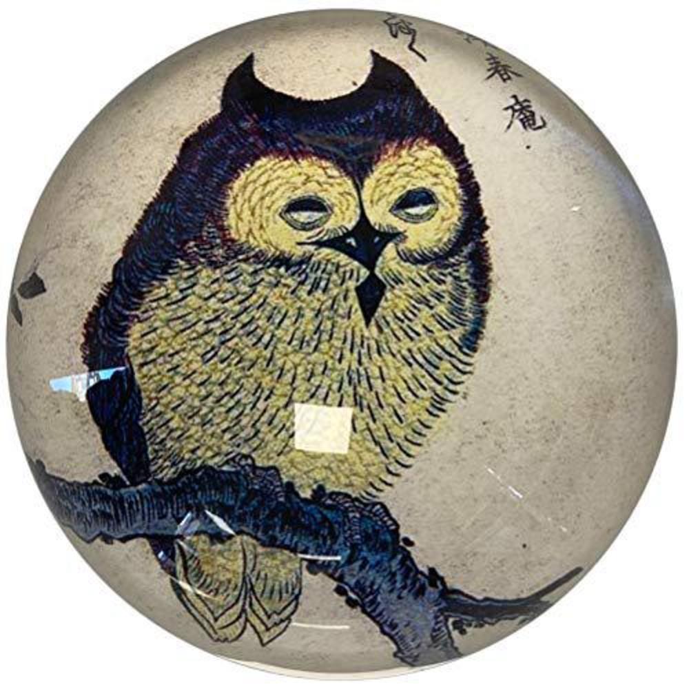 Parastone paperweight in fine glass in a gift box japanese owl