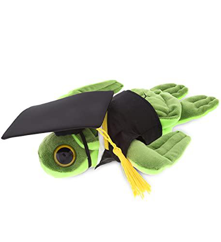 dollibu big eye sea turtle graduation plush toy - graduation stuffed animal dress up with gown & cap with tassel outfit - con