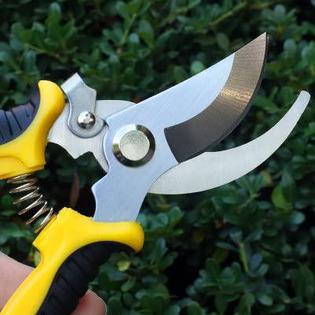 Senyucom 2 pack gardening pruning shears handheld pruner scissors set,  stainless steel curved and straight blades