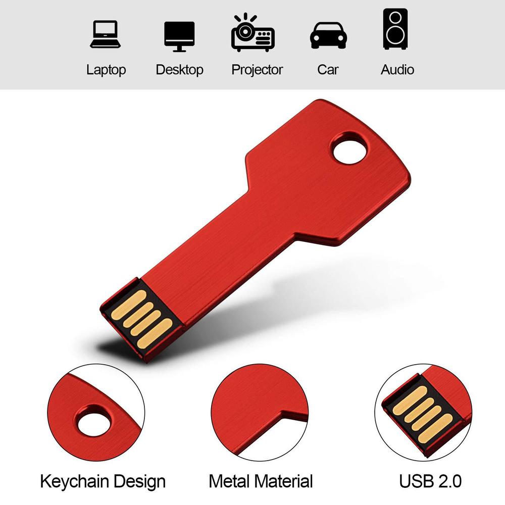 ColorYourLife raoyi 10 pack 2gb usb flash drive usb 2.0 metal key shape memory stick thumb drive pen drive-red