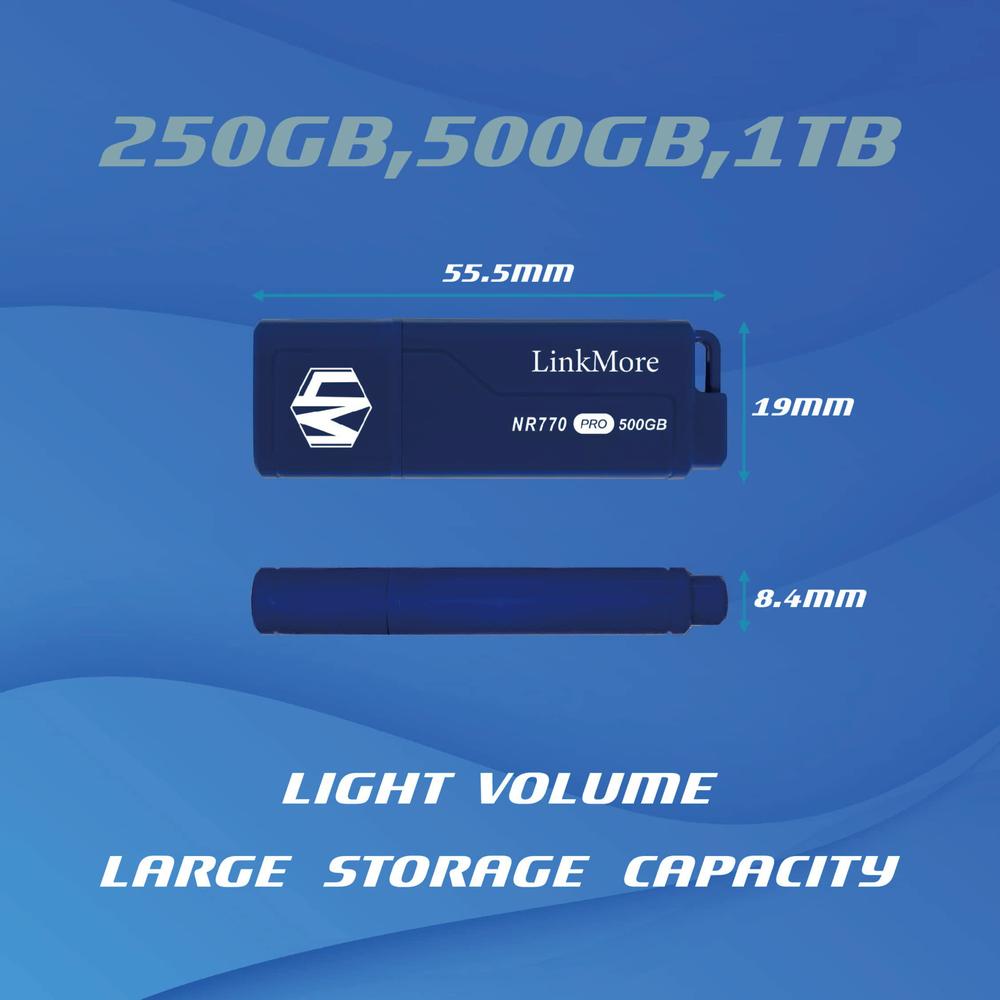 wellsenn linkmore nr770 250gb usb 3.2 gen2x1 flash drive, read speed up to 1000mb/s, write speed up to 800mb/s, thumb drive