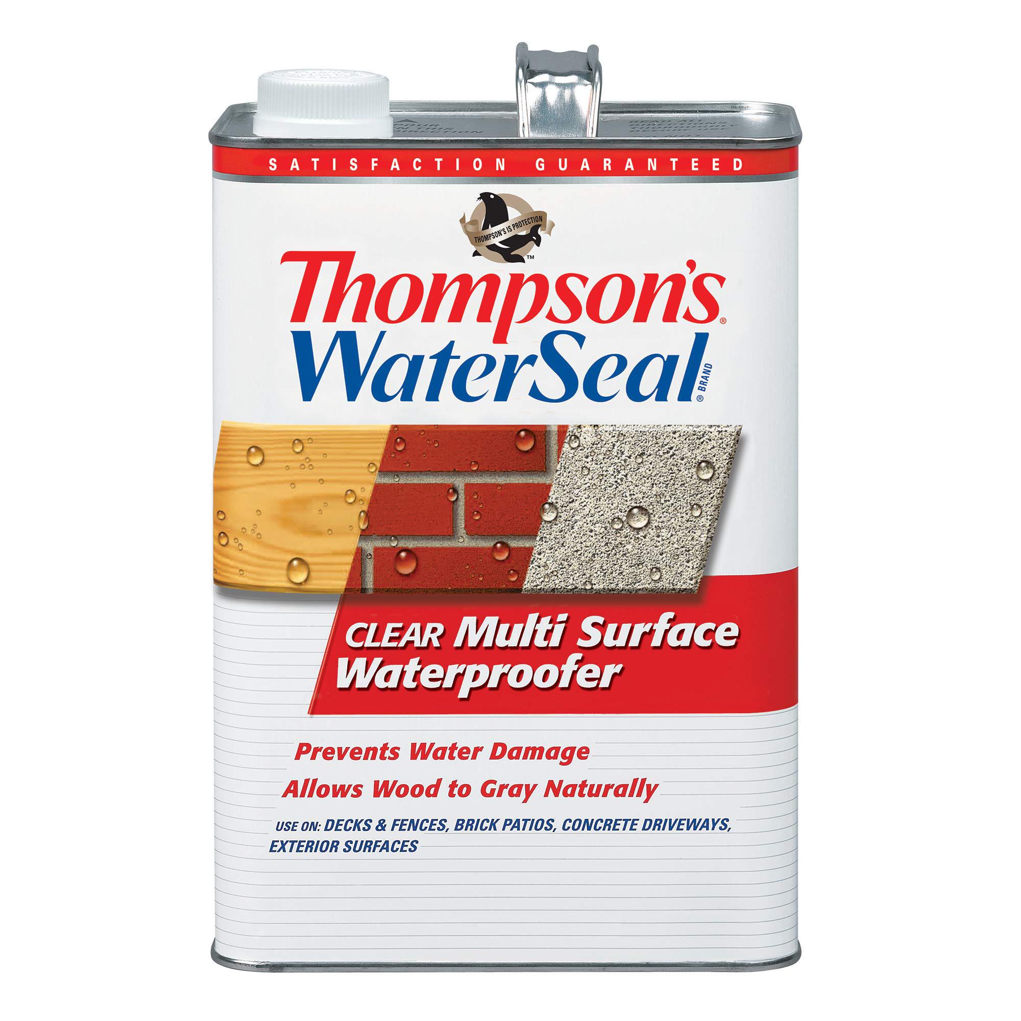 Thompsons Thompson's Water Sea Thompsons Water Seal TH.024101-16 Clear Multi-Surface Waterproofer, 1-Gallon