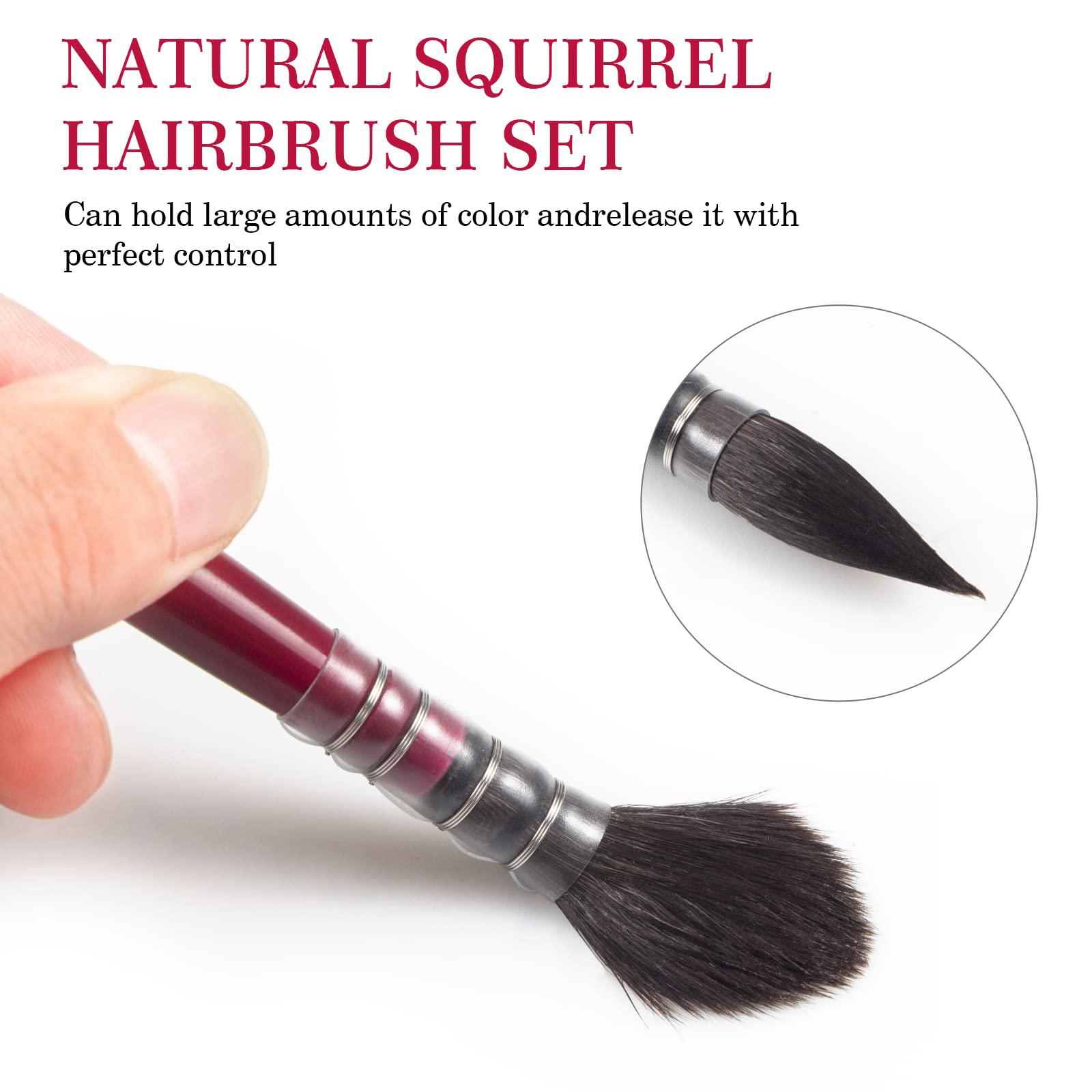 SAIVEN watercolor paint brushes, mop round squirrel hair paint
