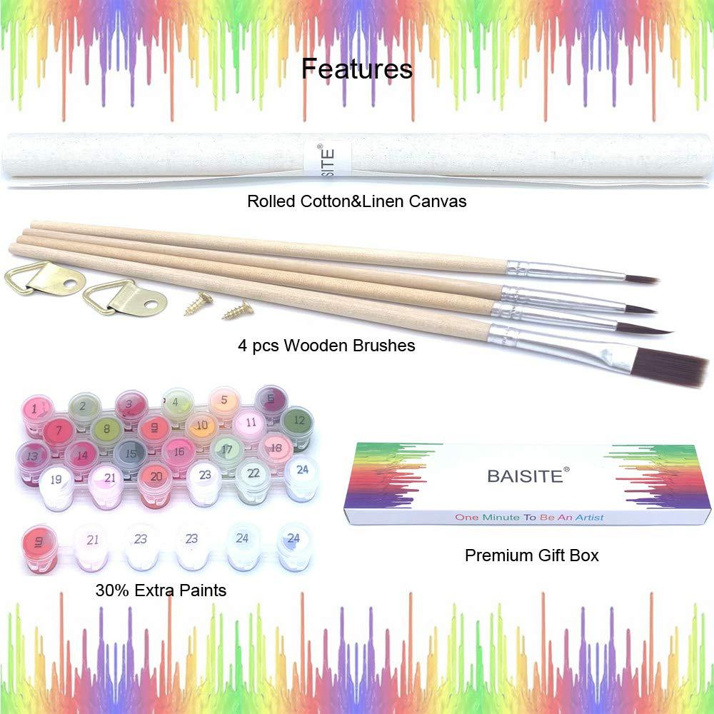 baisite paint by numbers for adults beginners and kids,16" wx20 l canvas pictures drawing paintwork with 4 pcs wooden paintbr