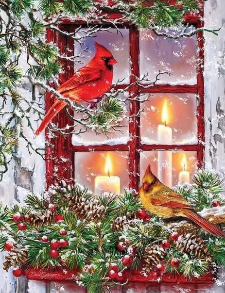JLHATLSQ Christmas Diamond Painting Kits for Adults and Kids,Christmas Bird 5D DIY Round Full Drill Diamond Art Craft Canvas Picture As Home Wall