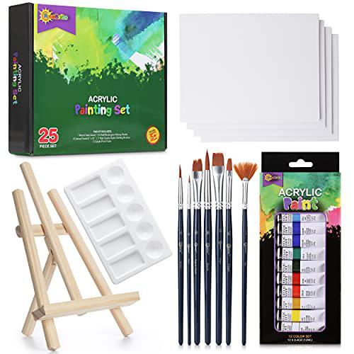 RISEBRITE acrylic paint set with canvas painting kit for adults painting set  with easel, premium painting supplies, painting canvas