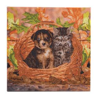Crystal Art crystal art medium framed kit (11.8in x 11.8in) - best friends  - diamond painting kit for ages 8 and up