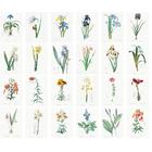 Flonz large stickers 24 pcs (2.5x3.5 each) iris lillies vintage