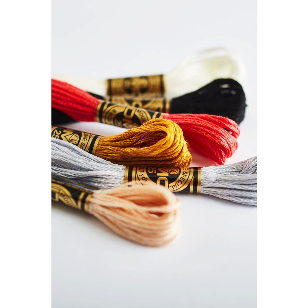 dmc bulk buy thread 6-strand embroidery cotton 8.7 yards ultra very light mahogany 117-3856 (12-pack)
